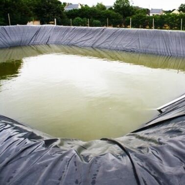 Dayanıklı HDPE Geomembrane Liner Tarımsal Çiftlik Havuz Liner Güvenli Akvakültür Yetiştirme için