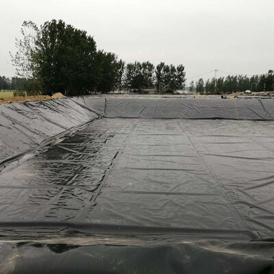 Tuzlu Su Karides ve Balık Havuzları için Siyah HDPE Geomembran Astar