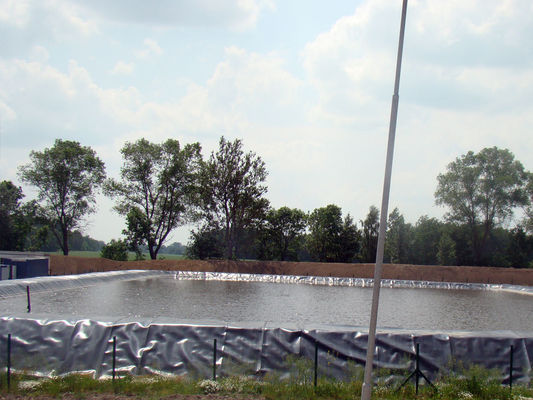 Ömür Boyu 10 Yıl Balık Havuzu Yeşil ve Dayanıklı