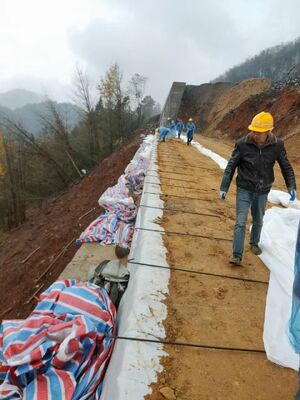 Maksimum dayanıklılık ve uzun ömürlü performans için tasarlanmış beyaz polyester polipropilen yüksek çekme mukavemetli kordonlar