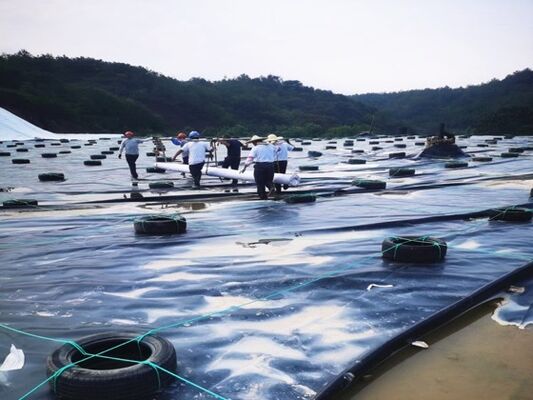 1.5mm HDPE Geomembrane Liner, Madencilik Yığınları Sızdırma Yastıkları için Uzman Kimyasal Direnci