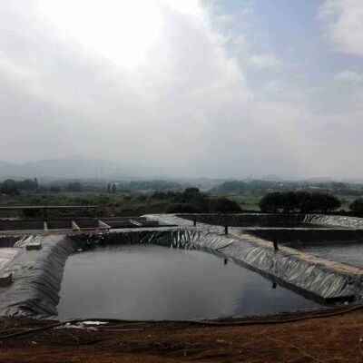 Dayanıklı HDPE Geomembrane Liner Tarımsal Çiftlik Havuz Liner Güvenli Akvakültür Yetiştirme için