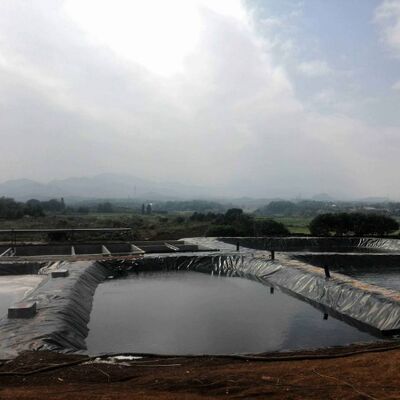 Gölet Tarımsal Sulama Rezervuarları İçin Balıklara Dayanıklı HDPE Geomembran Astar