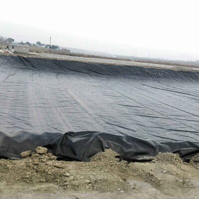 Ticari Balık ve Karides Akvaçülüğü için Suya dayanıklı HDPE Geomembrane Havuz Liner