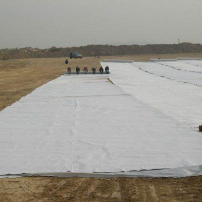 Gölet Gömlekleri İçin İğne Delikli Dokuma Olmayan Geotekstil Yastık Altlığı