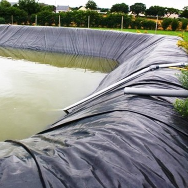Ticari Çatı Bahçe Yalıtımı için Kök Bariyer Suya Dayanıklı HDPE Geomembran Astar Levha