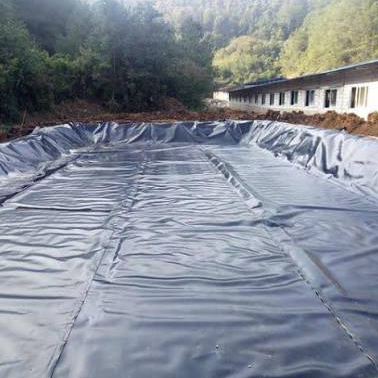 Belediye Atık Muhafaza Hücresi için Kalın Depolama HDPE Geomembran Astarı