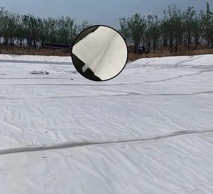 Non Woven Kumaş Kompozit Geomembran Trafik Tüneli İnşaat İzolasyonu