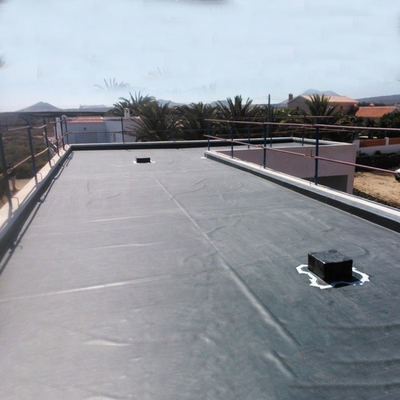 1mm 2mm LDPE Geomembran Liner Yapay Suya Dayanıklı Geomembran Göl Tankı