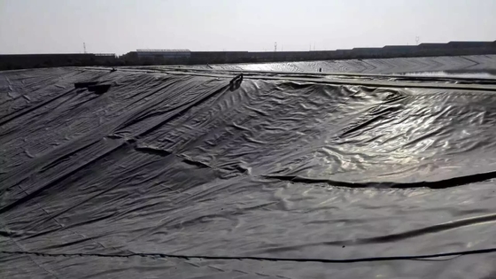 Yeraltı Suya Dayanıklı HDPE Depolama Astarı Geomembran 4mm