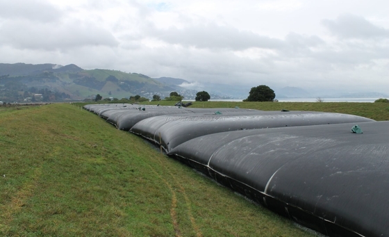 Susuzlaştırma Jeotekstil Tüp Geobag PP PET Geotube Silt Filtre Kum Filtresi Kıyı Berm için
