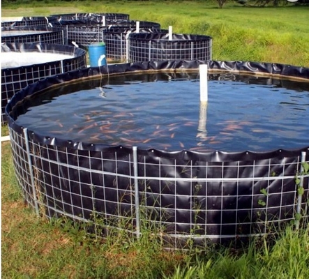 Karides Balık Besleme için Pürüzsüz Yüzey PVC Geomembran Astar Kalınlığı 0.2 ~ 3mm